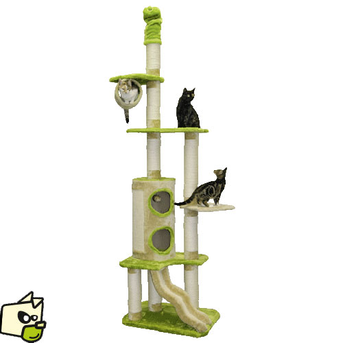 arbre a chat haut mais pas large